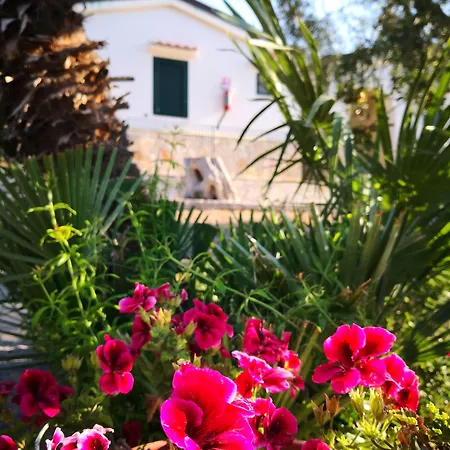 Villaggio Mare Blu פארק נופש ויאסטה
